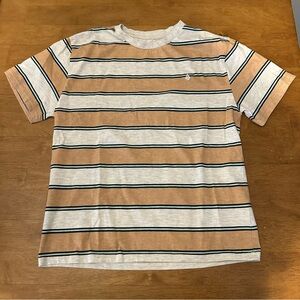 Volcom Striped T-Shirt in Tan and Gray